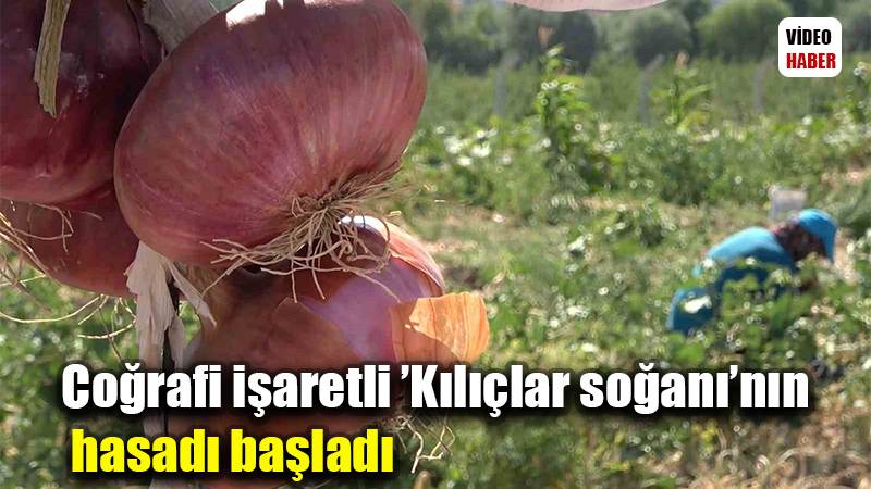 Coğrafi işaretli ’Kılıçlar soğanı’nın hasadı başladı